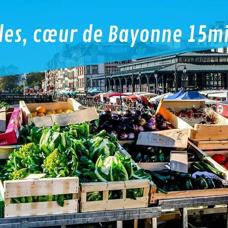 Le Cerisier Bayonnais Apartmán Bayonne